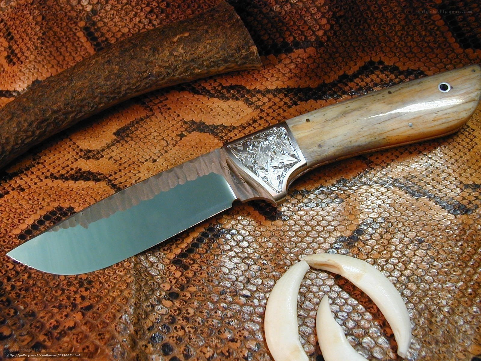 ornate knife on snake skin