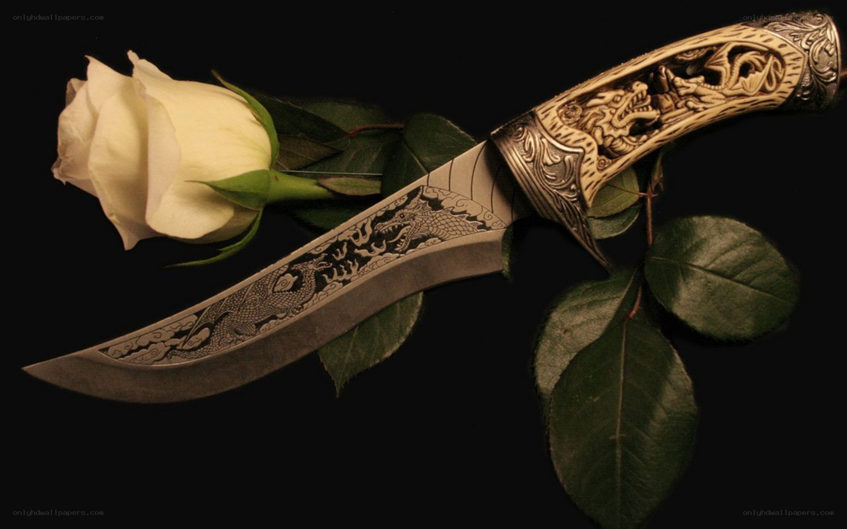 ornate knife with white rose