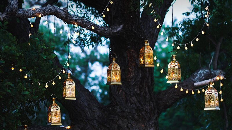 Ornate Lanterns on Tree