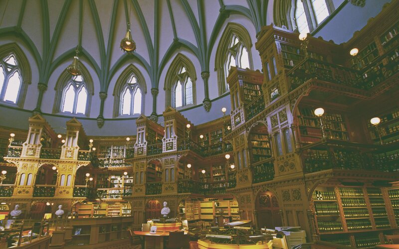 Ornate Library Interior — Brown, Serene