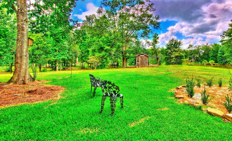 Ornate Metal Chairs in Yard — Green