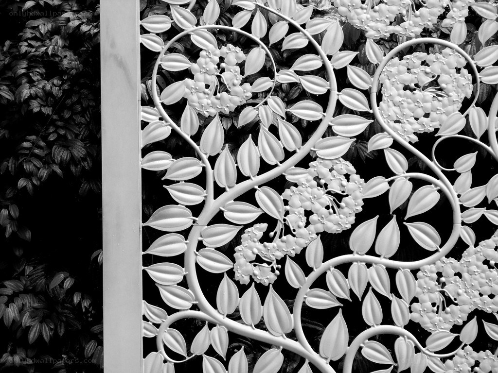 ornate metal garden screen
