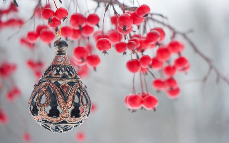 Ornate Ornament with Berries