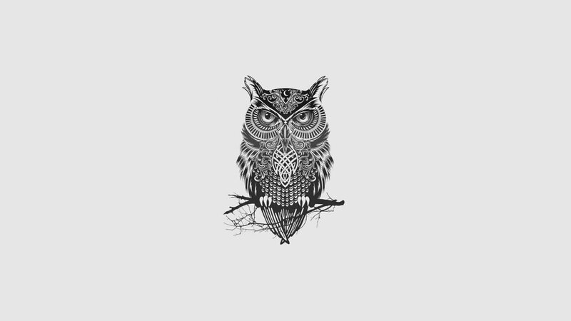 Ornate Owl Illustration — Black