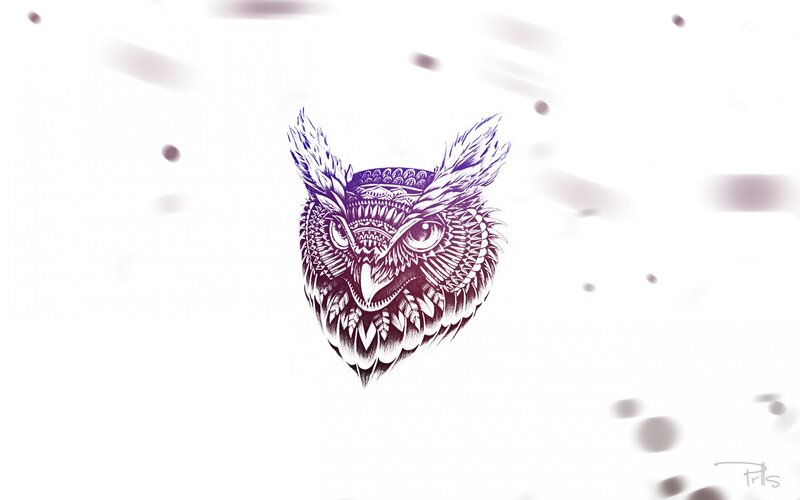 ornate owl illustration