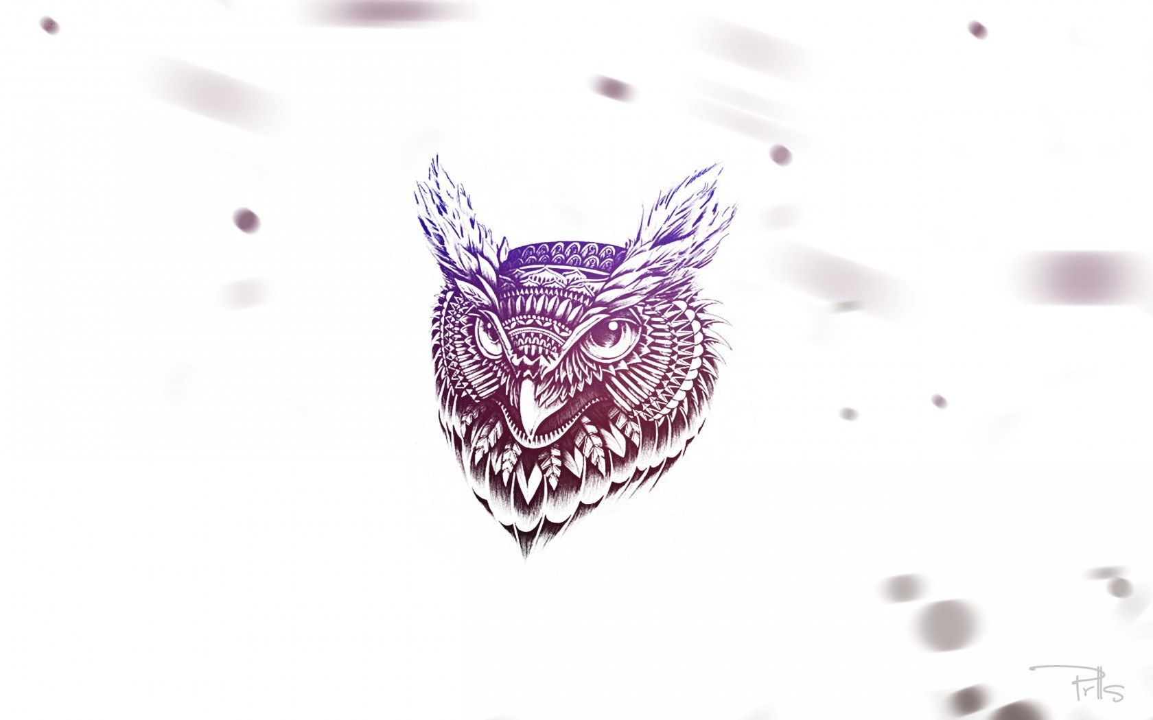 ornate owl illustration