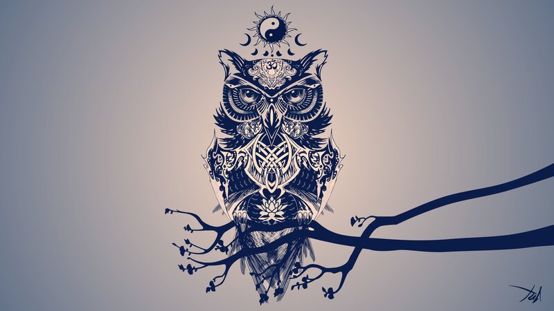 Ornate Owl on Branch