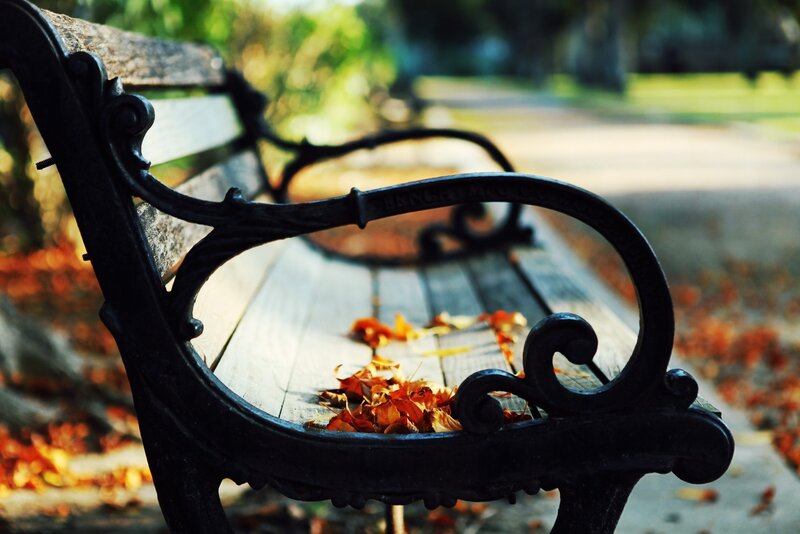 Ornate Park Bench — Brown, Serene