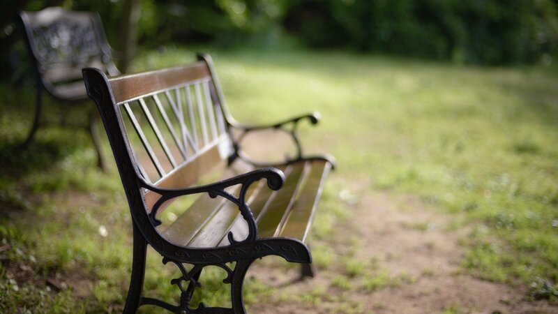 Ornate Park Bench — Green, Serene