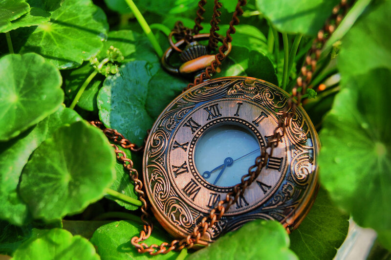 Ornate Pocket Watch — Green