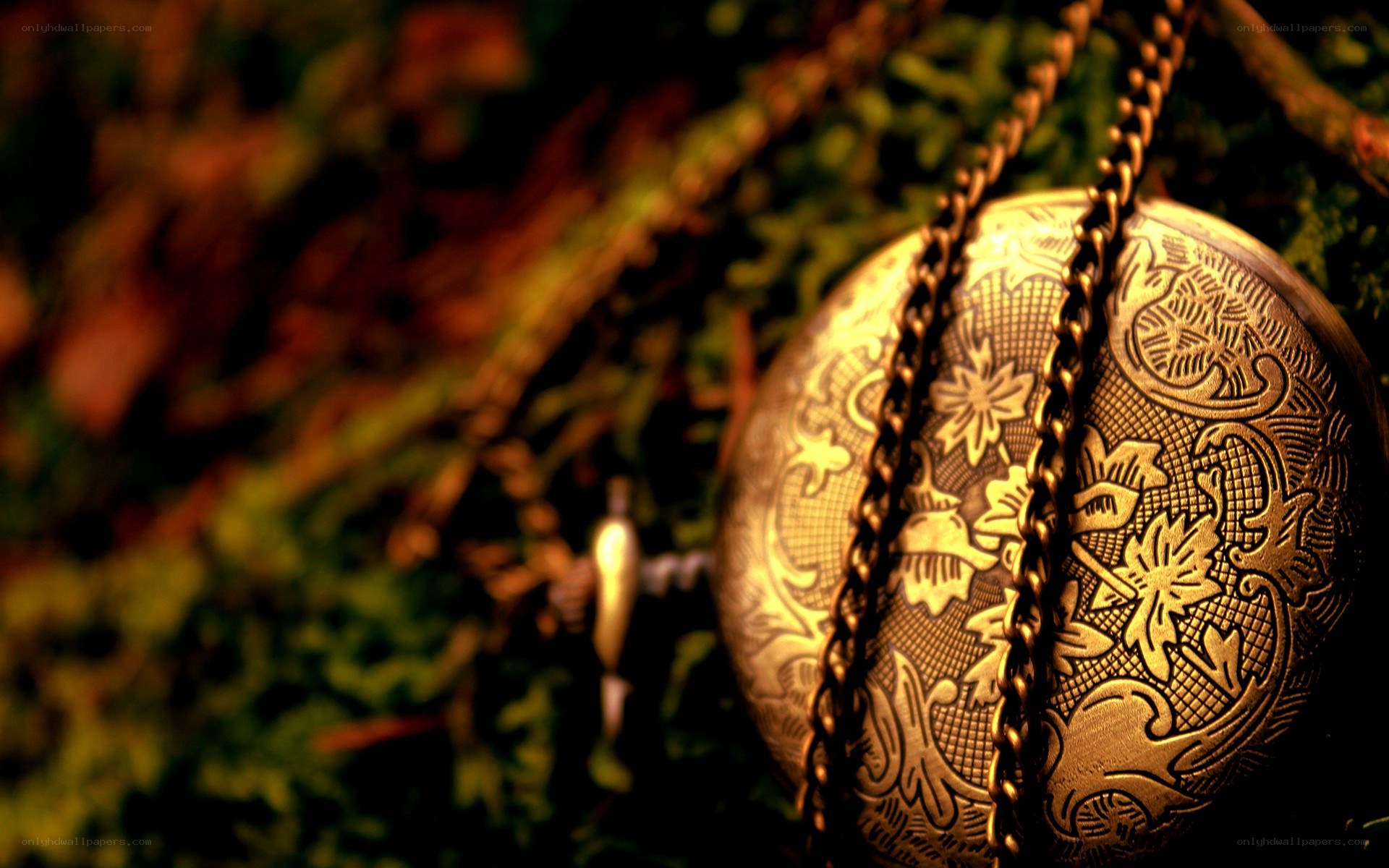 ornate pocket watch on moss