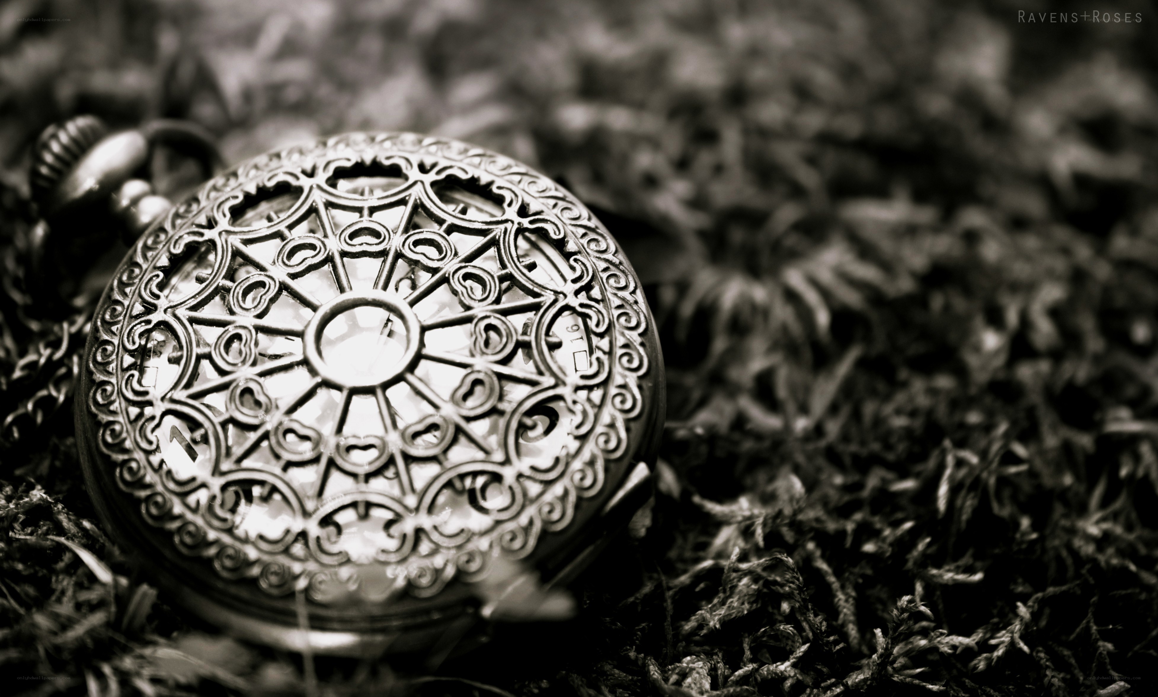 ornate pocket watch on moss