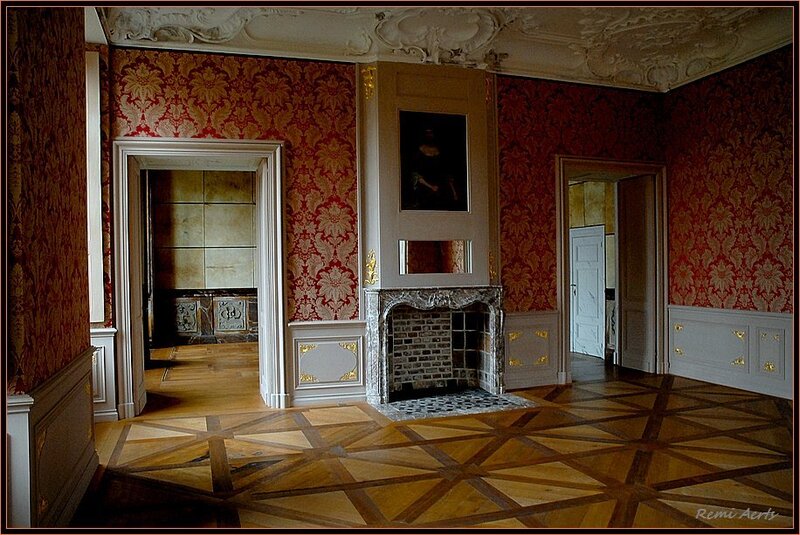 ornate room with fireplace