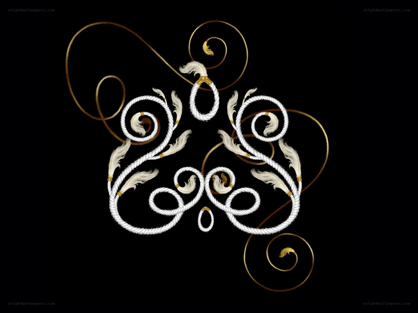 ornate rope and feather design