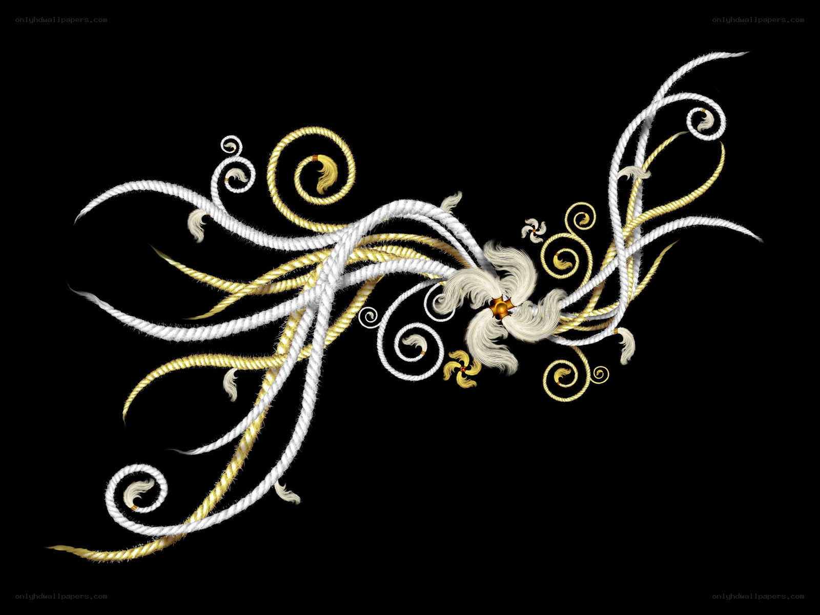 ornate rope and swirl design