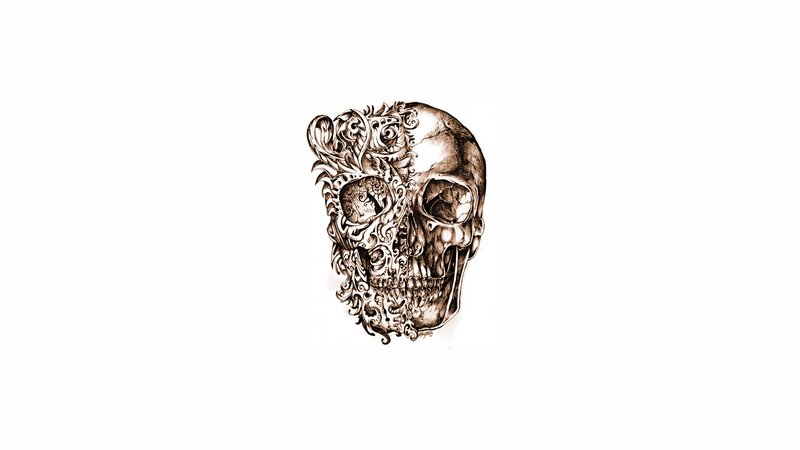 ornate skull illustration