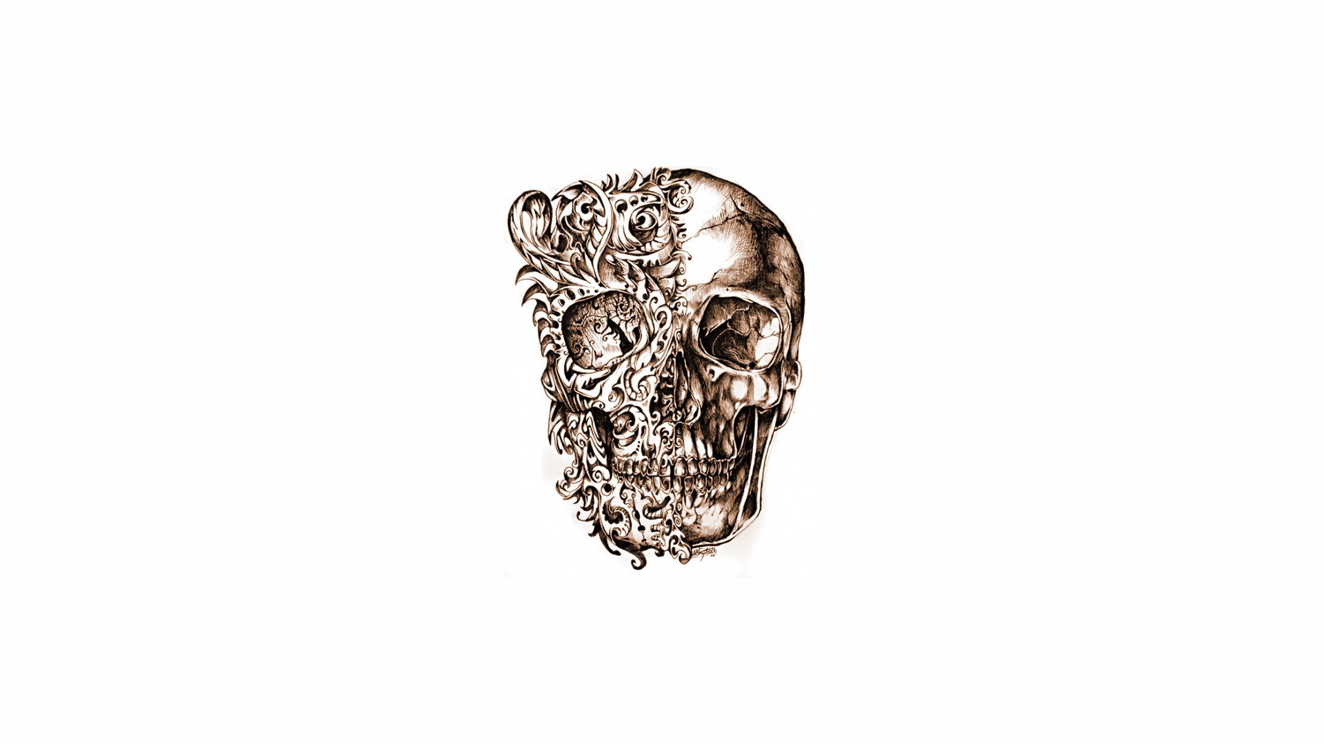 ornate skull illustration