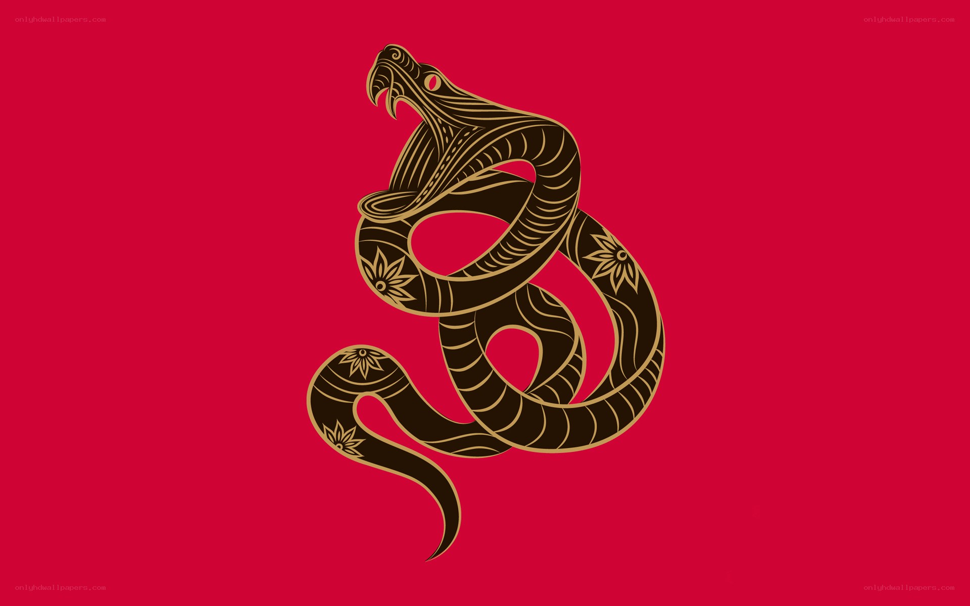 ornate snake design on red