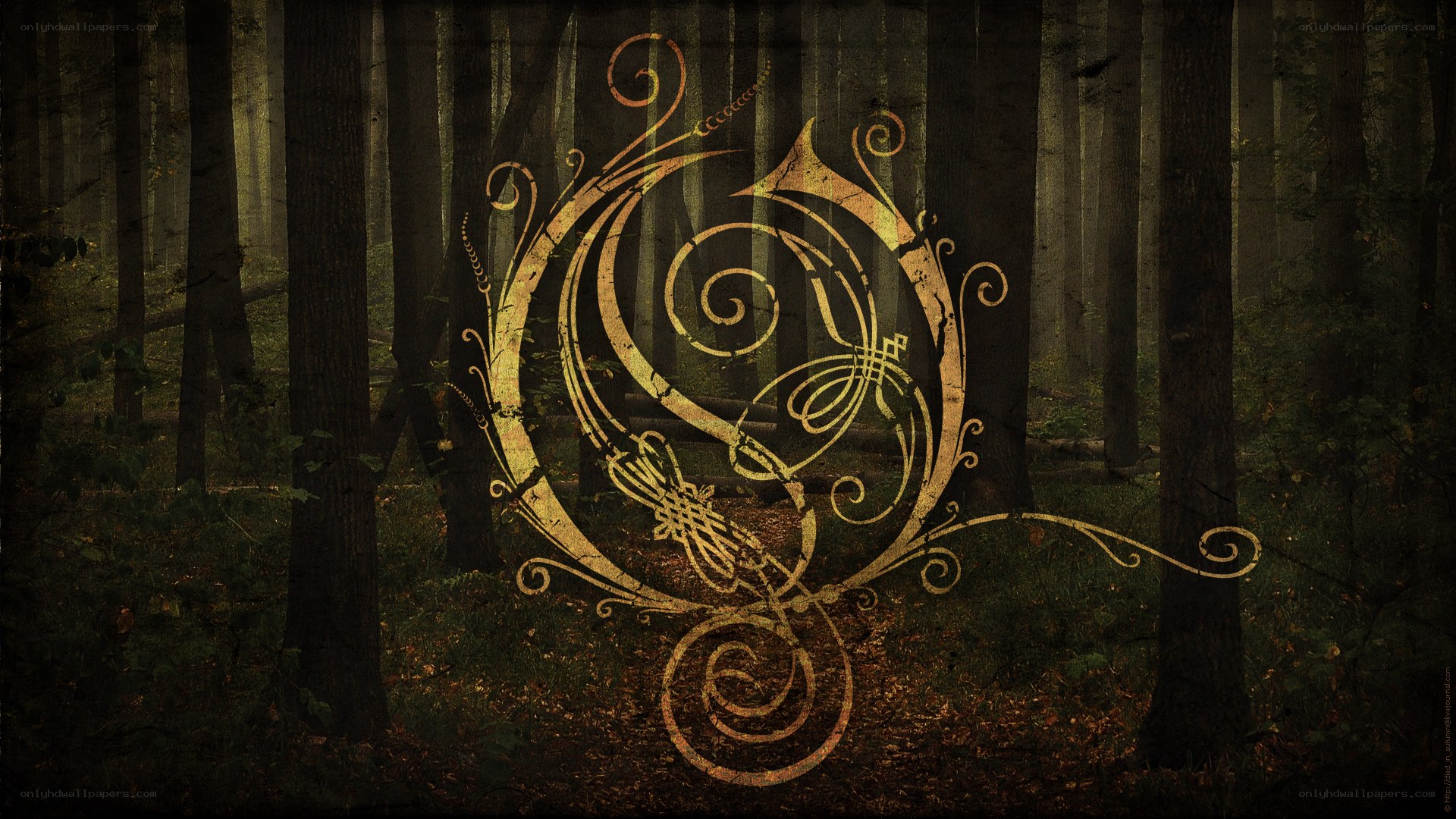 Ornate symbol in forest