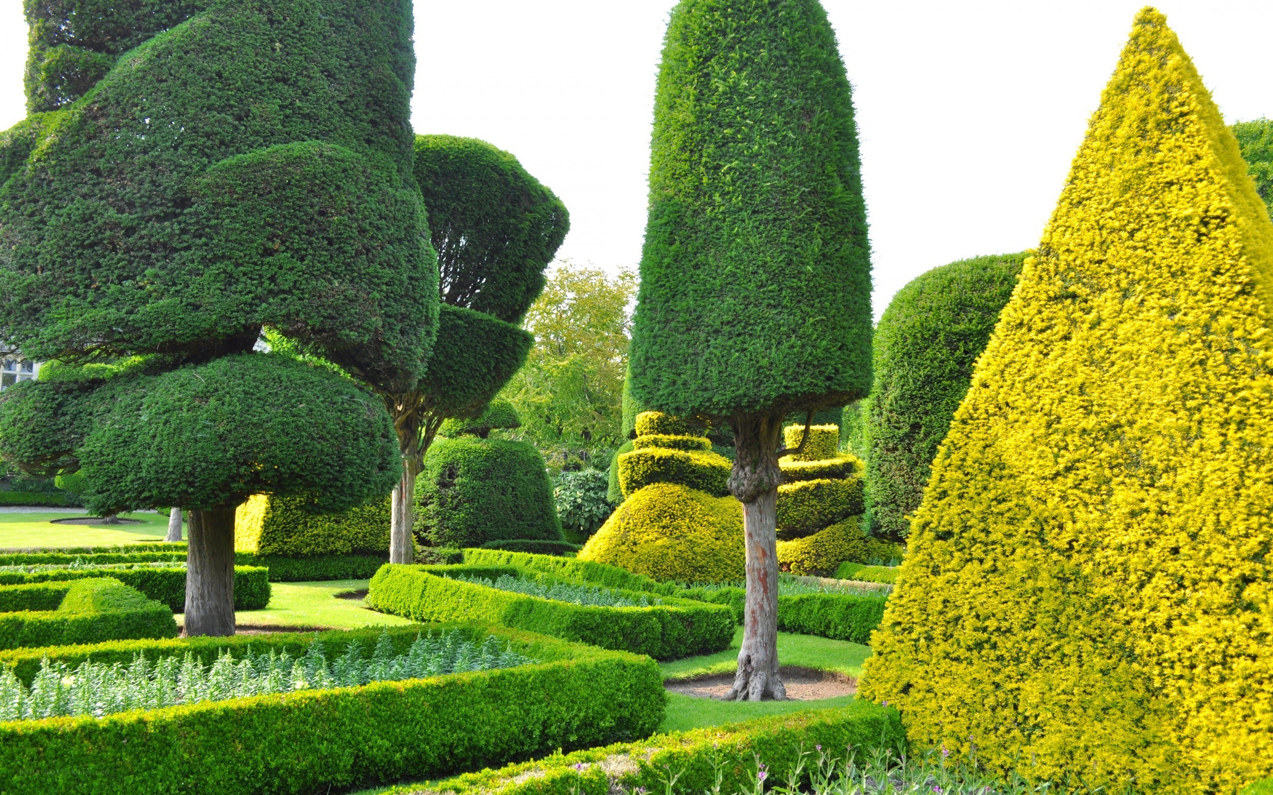 ornate topiary garden