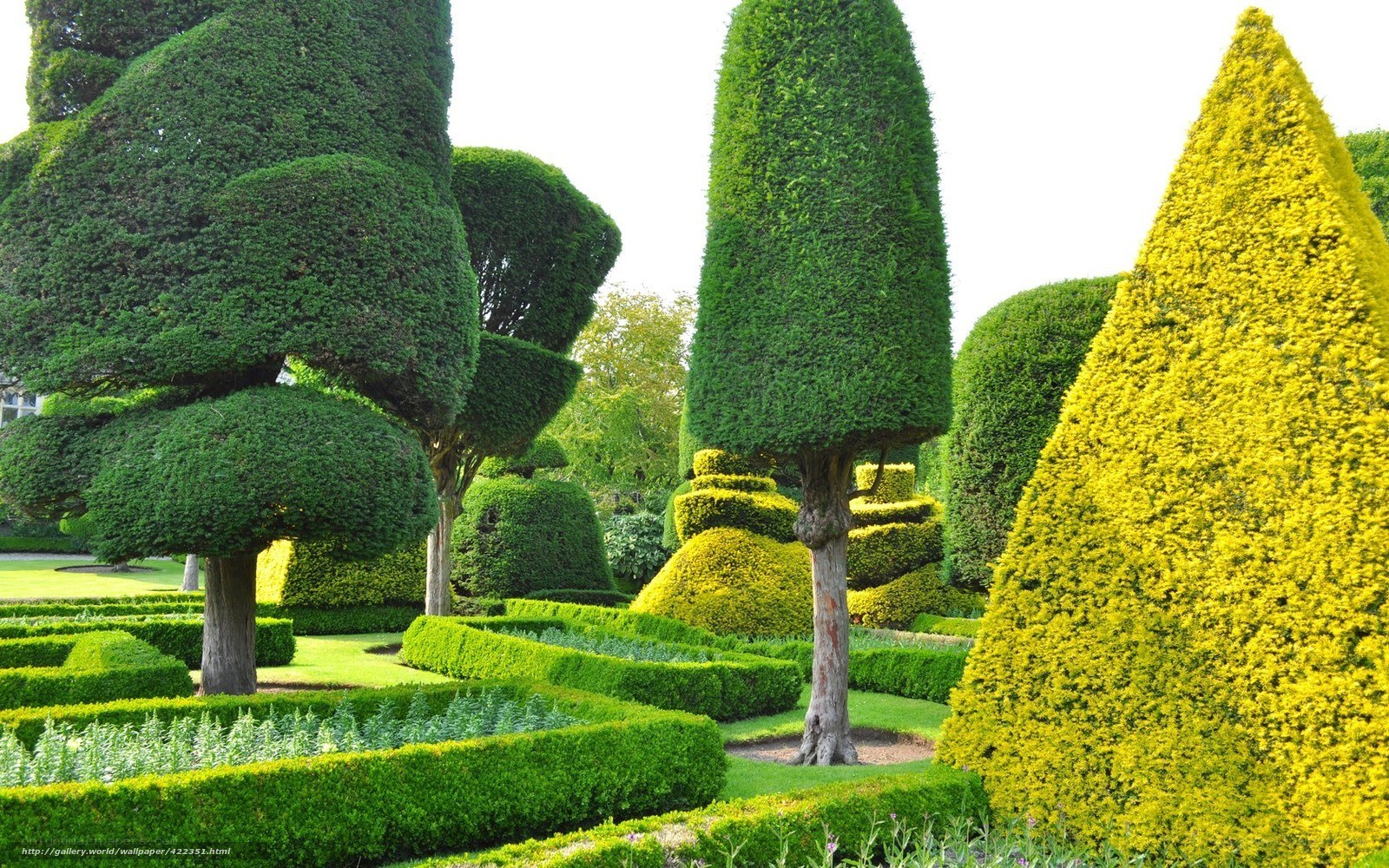 ornate topiary garden