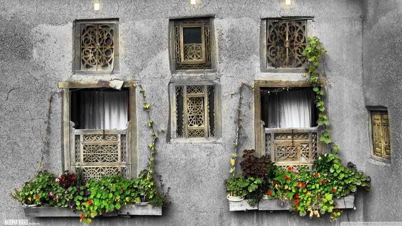 ornate windows with flowers