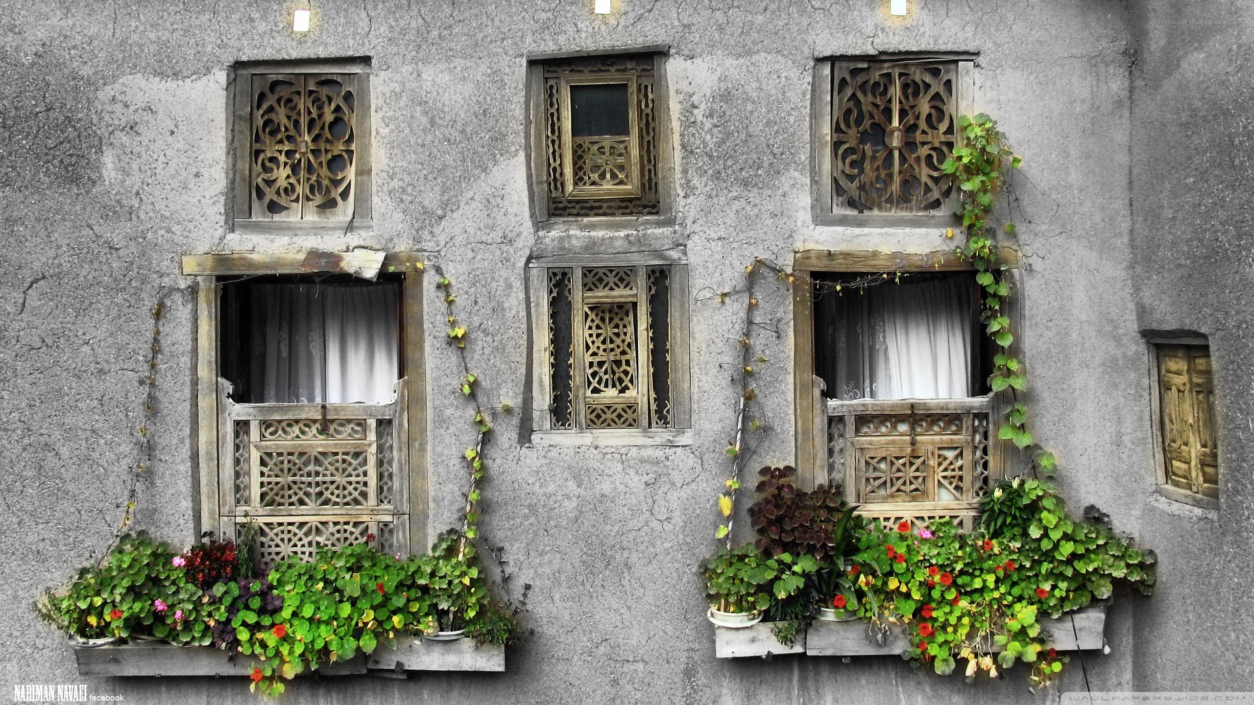 ornate windows with flowers