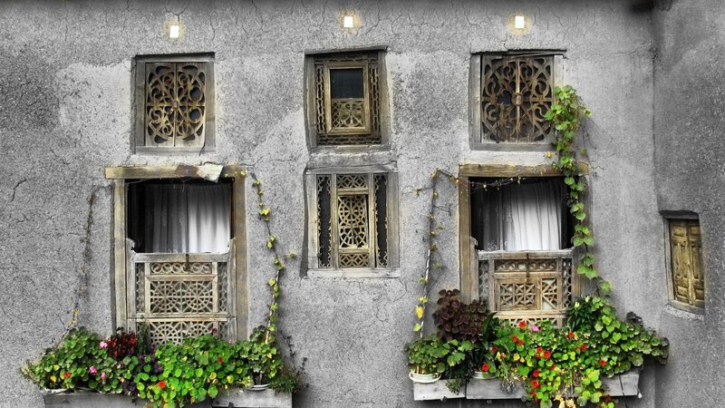 Ornate Windows with Plants — Gray
