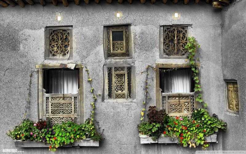 Ornate Windows with Plants