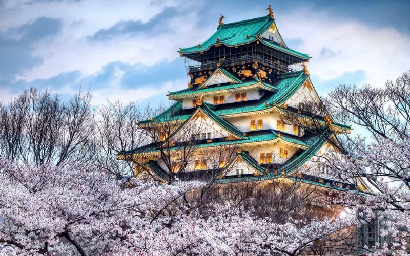 Osaka Castle — Green, Serene, Spring, Photograph, Cherry Blossoms