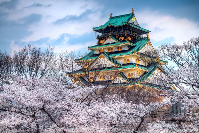 Osaka Castle — Green, Serene, Spring, Photograph, Cherry Blossoms, Trees, Sky, White, Blue