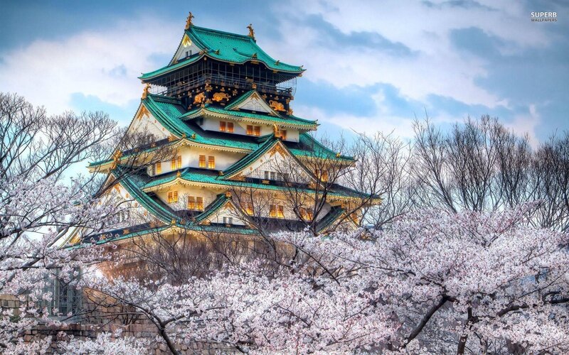 Osaka Castle — Green, Serene, Spring, Photograph, Cherry Blossoms, Trees