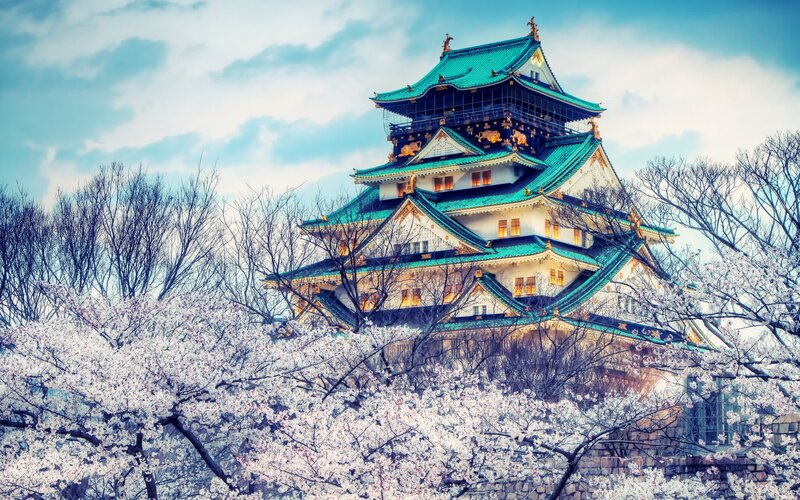 Osaka Castle in cherry blossom season