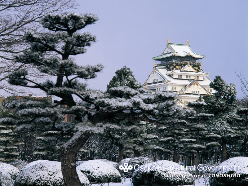Osaka Castle in winter