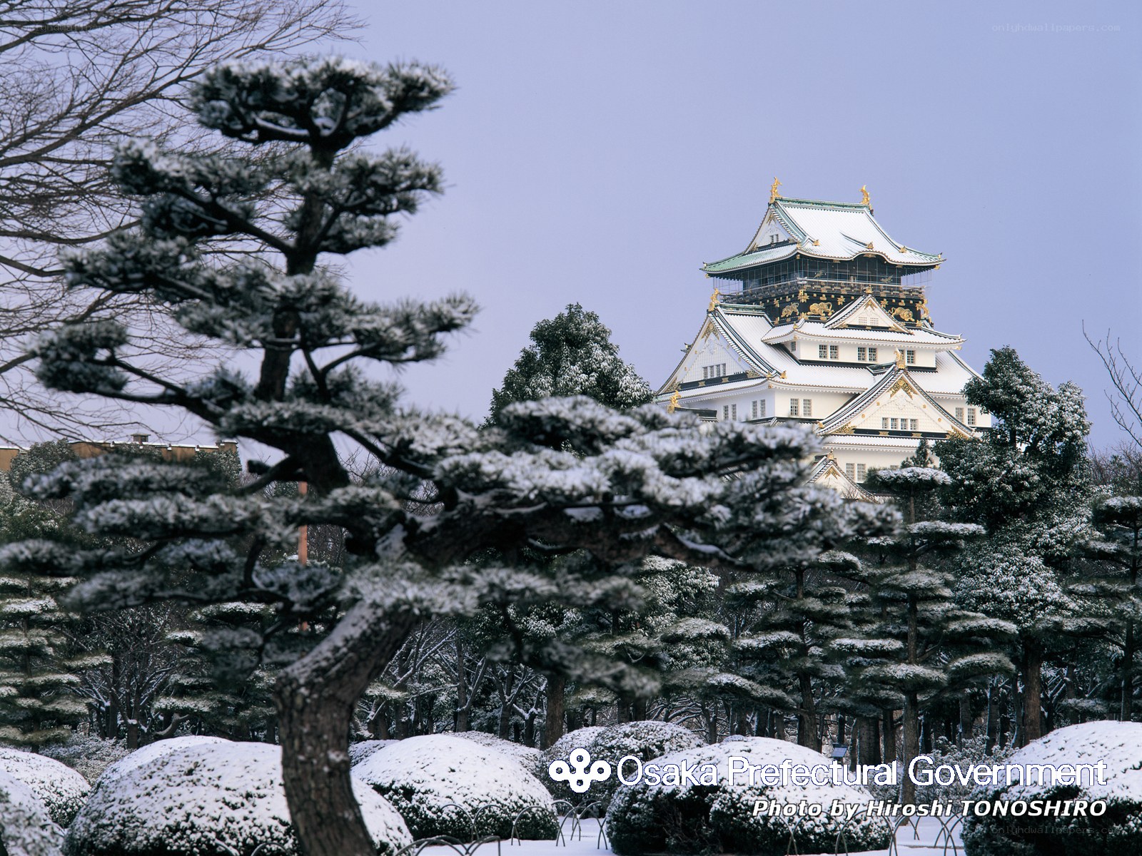 Osaka Castle in winter