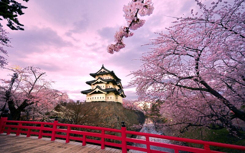 Osaka Castle — Pink, Serene, Spring
