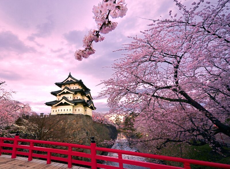 Osaka Castle — Pink, Serene