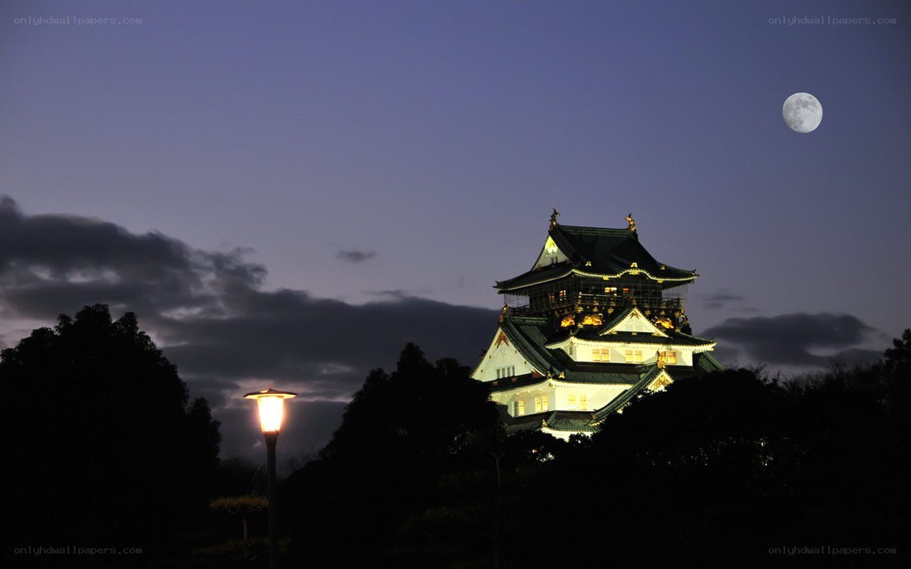 Osaka Castle under moonlight