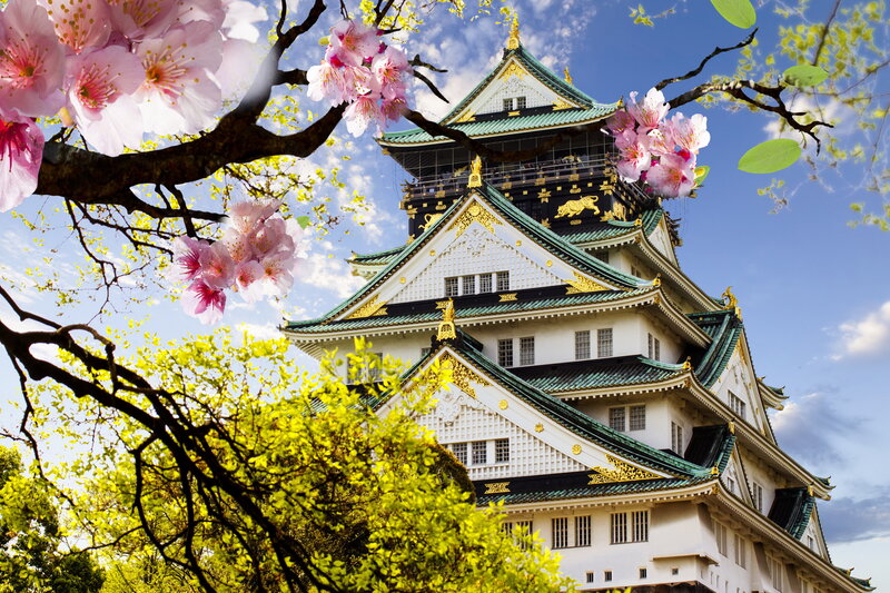 Osaka Castle — White, Serene, Spring, Photograph, Cherry Blossoms