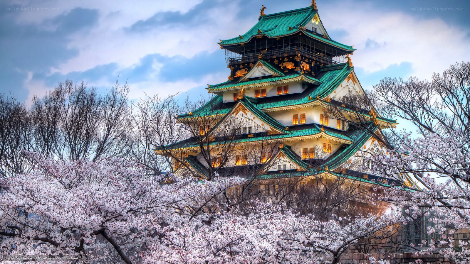 Osaka Castle with cherry blossoms