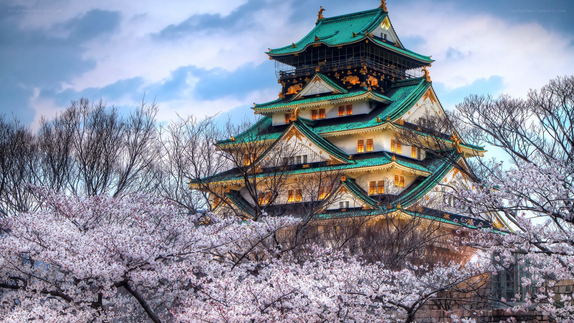 Osaka Castle with cherry blossoms