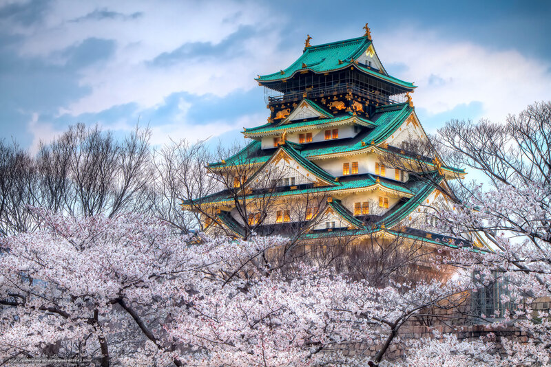 Osaka Castle with cherry blossoms