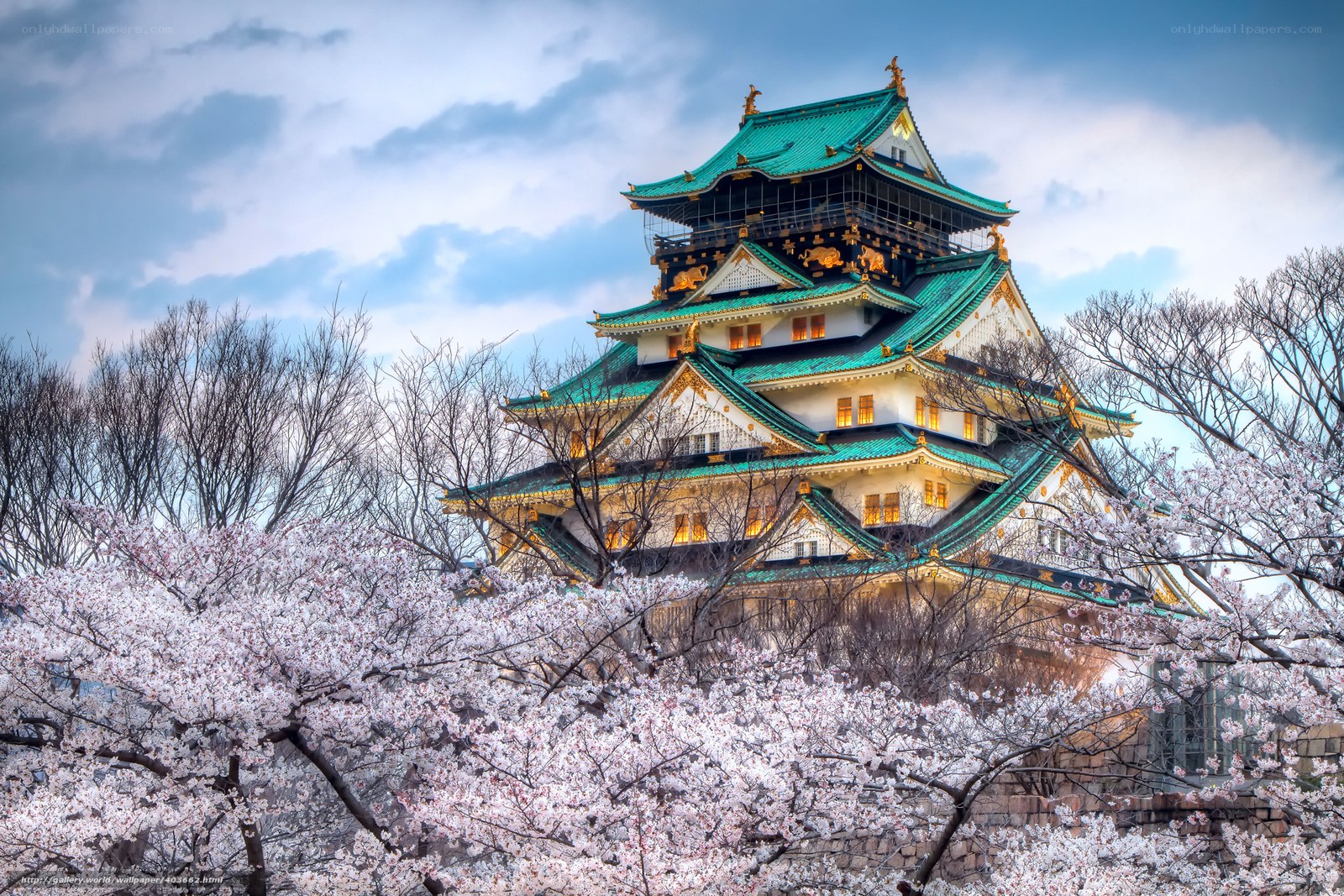 Osaka Castle with cherry blossoms
