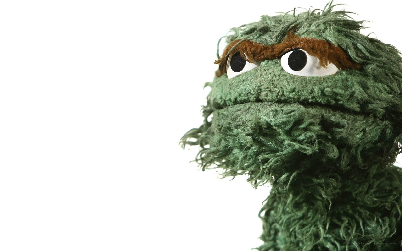 Oscar the Grouch close-up
