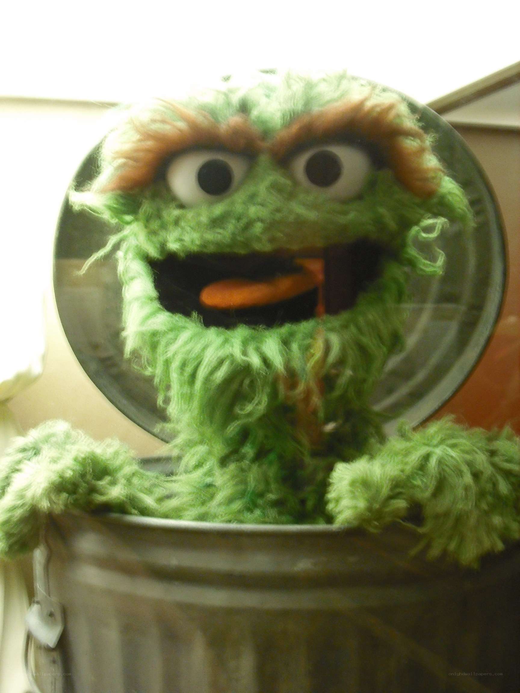 Oscar the Grouch in trash can