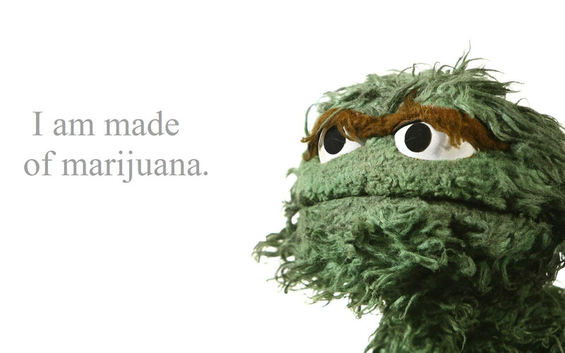 Oscar the Grouch says he's made of marijuana