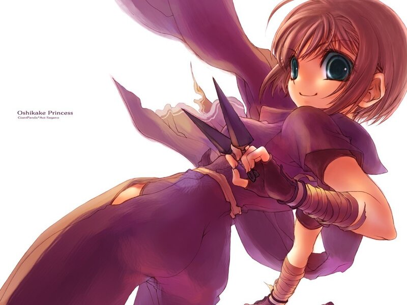 Oshikake Princess artwork