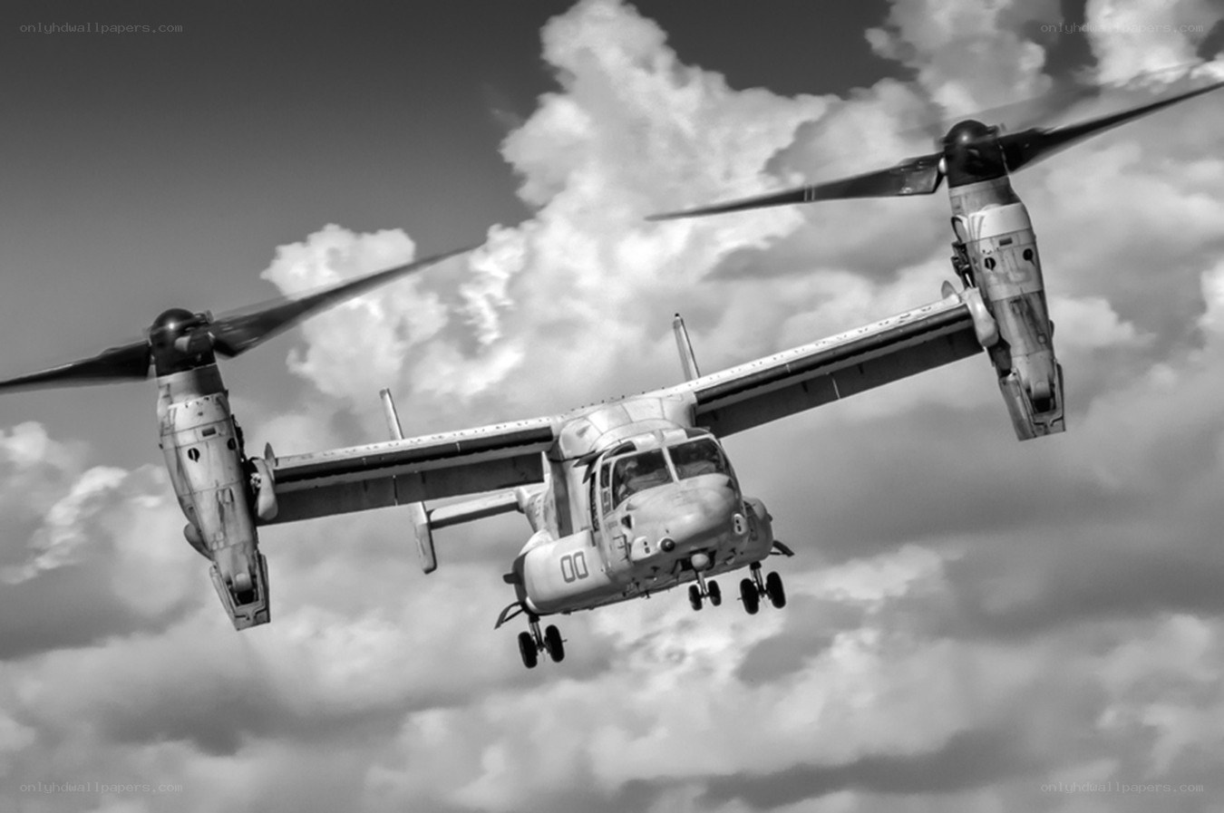 Osprey aircraft in flight