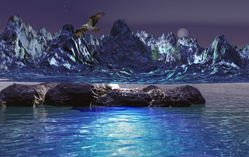 Osprey Flying over Water