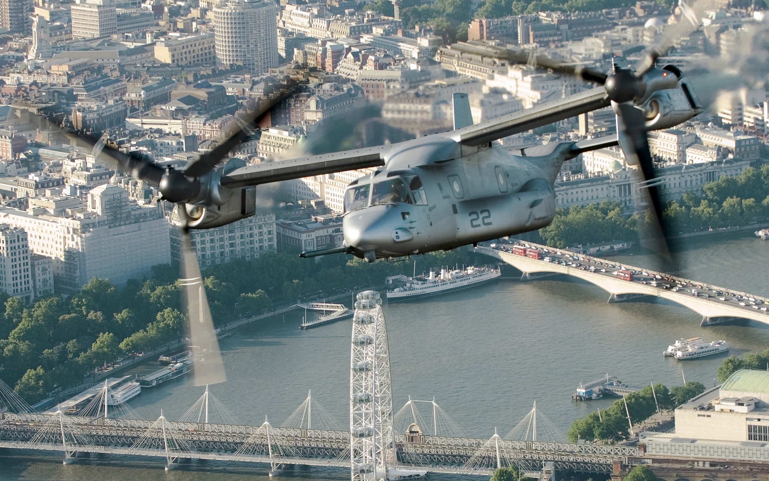 Osprey over London